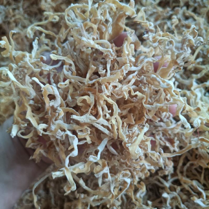 白木耳玉木耳丝大白木耳丝竹耳丝竹肚菌丝白木耳丝木耳丝加工