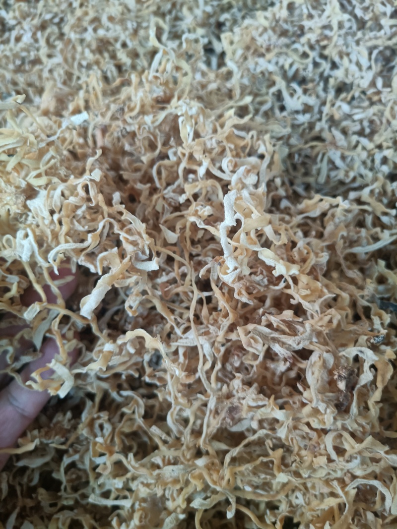 白木耳玉木耳丝大白木耳丝竹耳丝竹肚菌丝白木耳丝木耳丝加工