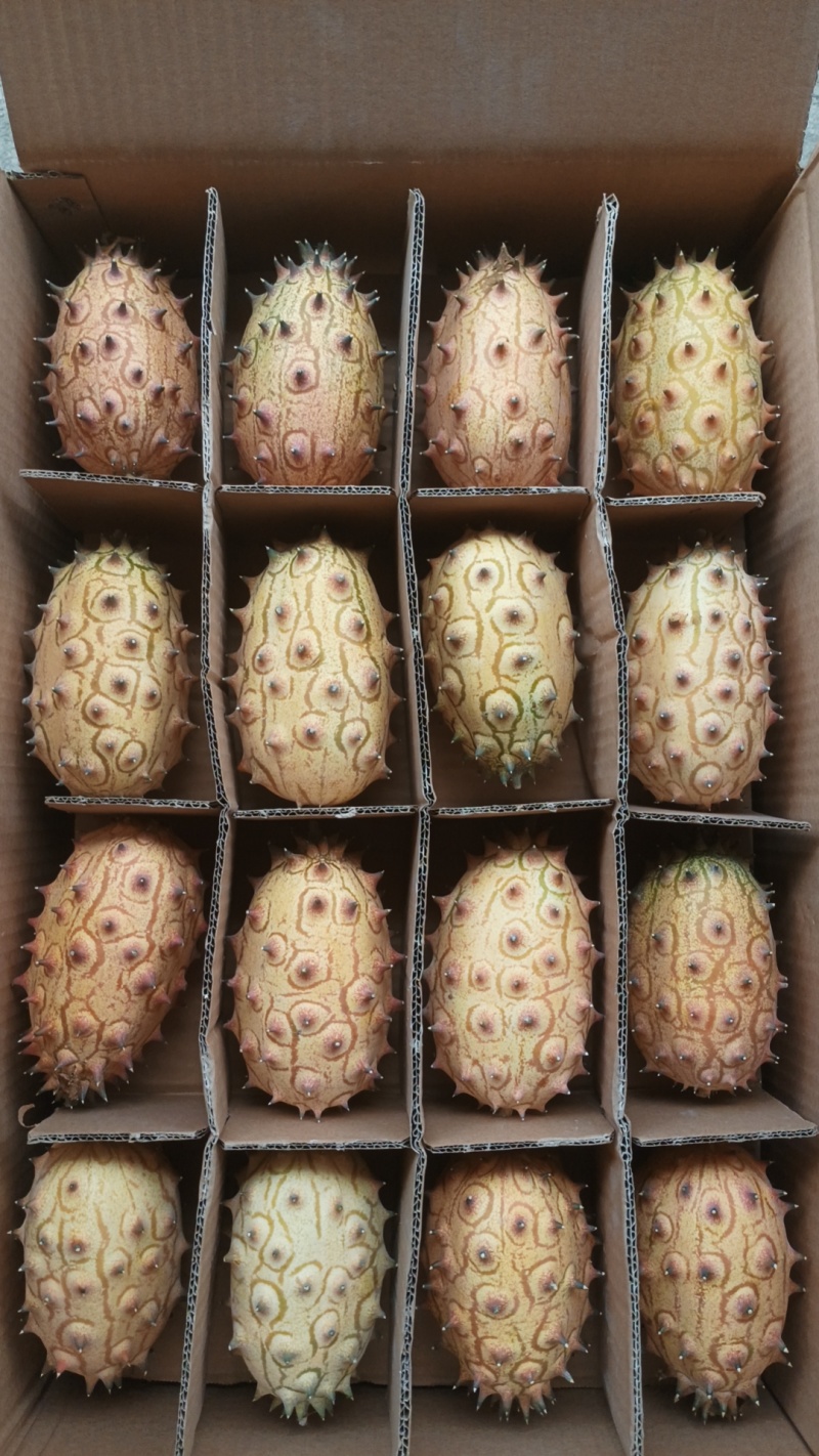 火参果当季新鲜水果自家果园种植采摘大量批发
