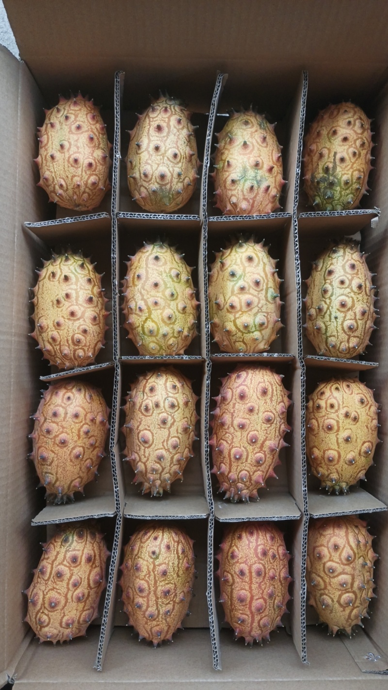火参果当季新鲜水果自家果园种植采摘大量批发