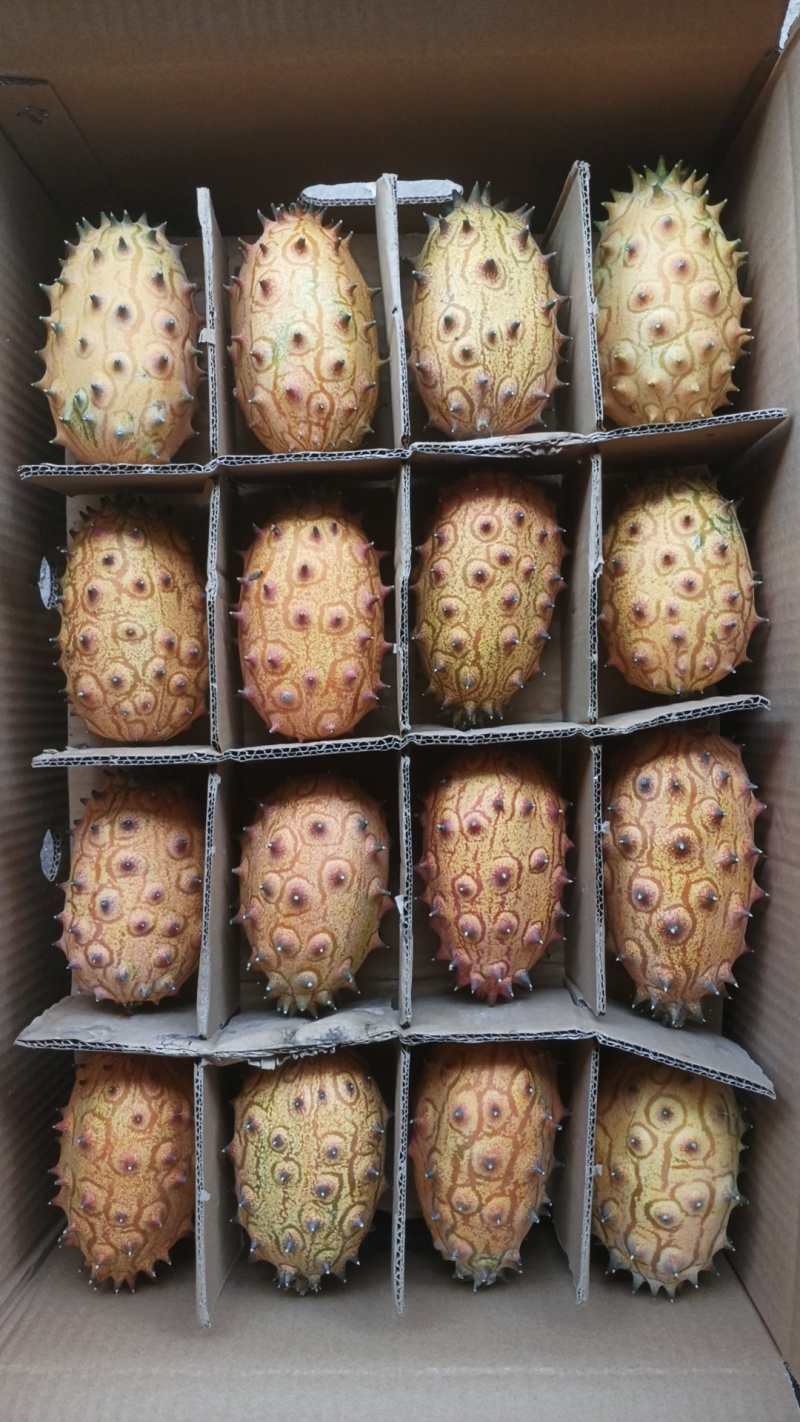火参果当季新鲜水果自家果园种植采摘大量批发