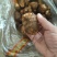 8520芋头，奶香芋头产地直发，货源充足，保证质量