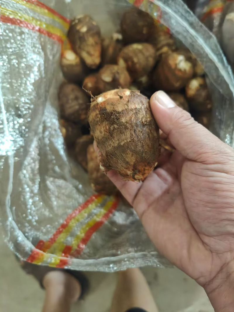 8520芋头，奶香芋头产地直发，货源充足，保证质量