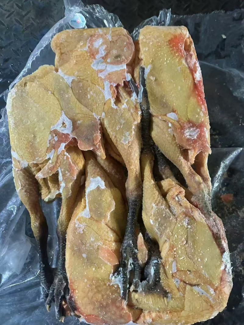 二级公鸡