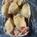 二级公鸡