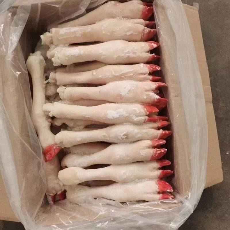 羊蹄实拍