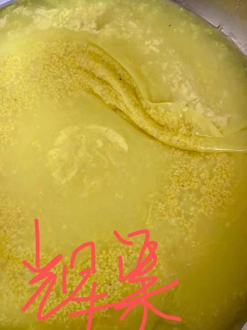 正宗辉渠小米