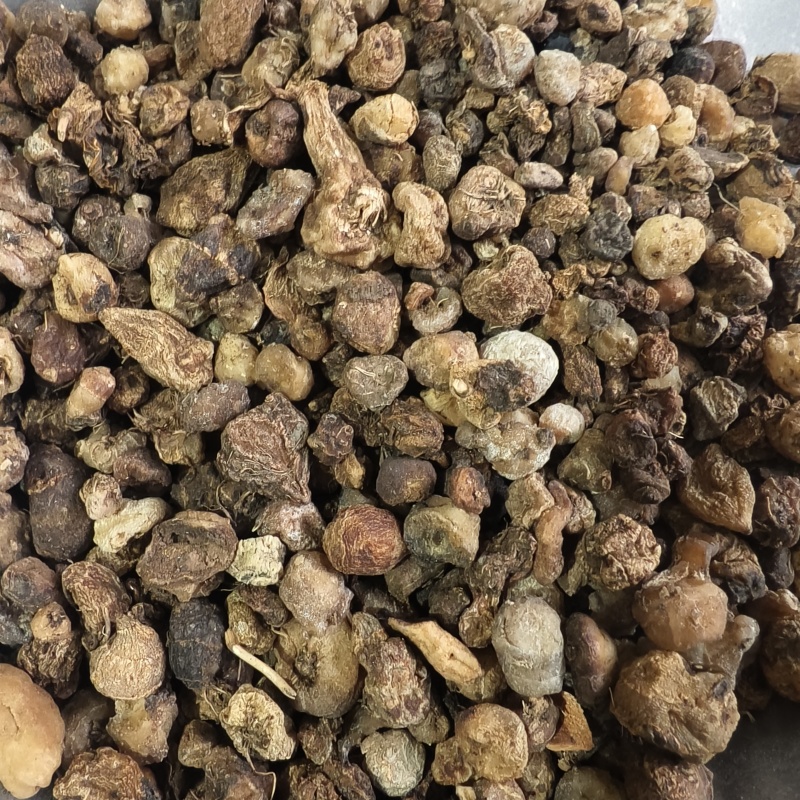 光慈菇光山慈菇山慈菇冰球子紫轩堂药业