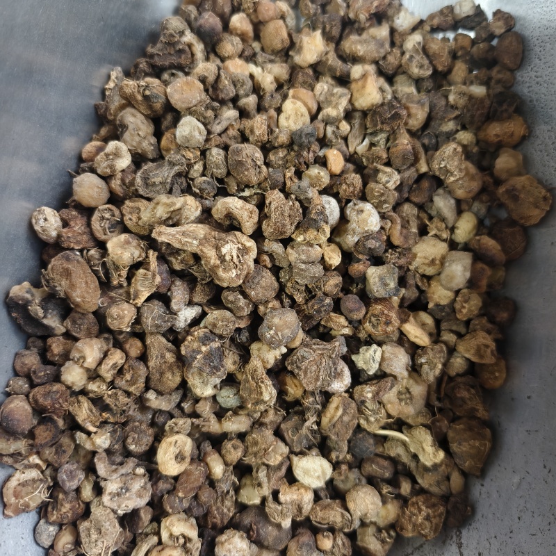 光慈菇光山慈菇山慈菇冰球子紫轩堂药业