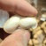 牛奶花生大量有货，需要联系