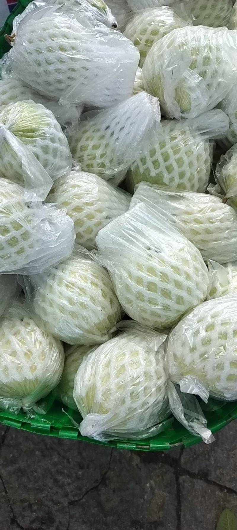 正宗广西番石榴清脆爽口维C含量高