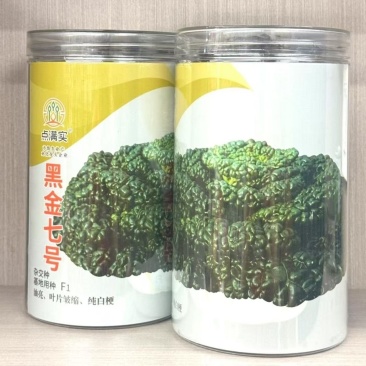 黑金七号杂交乌塌菜种子耐寒黑心乌塌菜籽菊花心秋冬青菜蔬菜