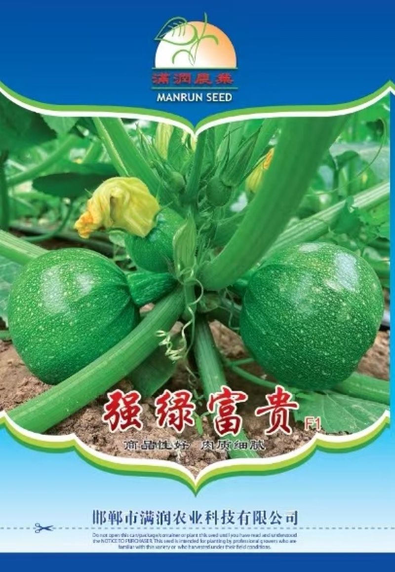 西葫芦种子翠绿富贵翠绿色靓丽圆西葫芦杂品种高产抗病