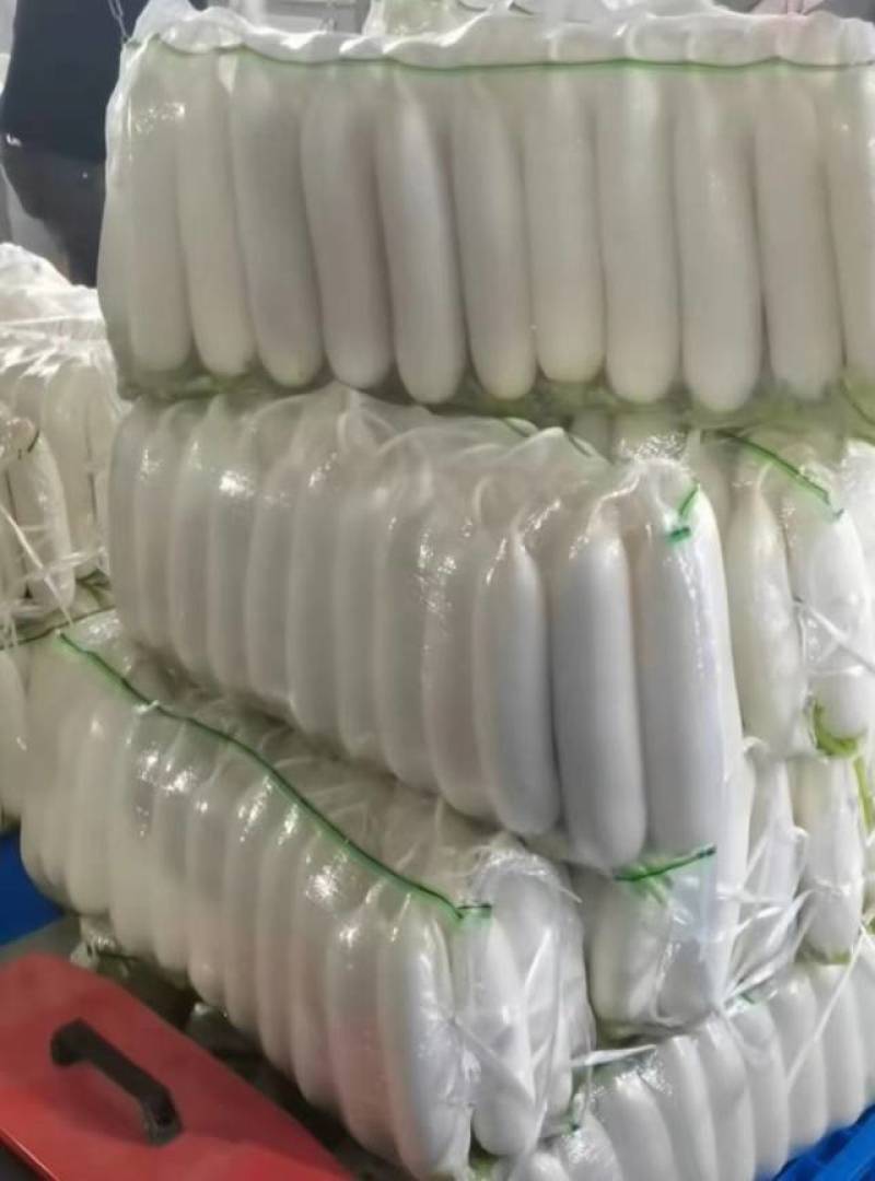 精品白萝卜，产地，市场，一手货，
