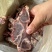 和牛多肉脖骨