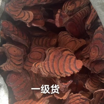一手进口鸡血藤，长期有货，有实力的客商洽