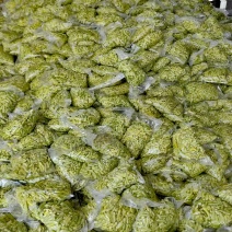 白米椒货源产地