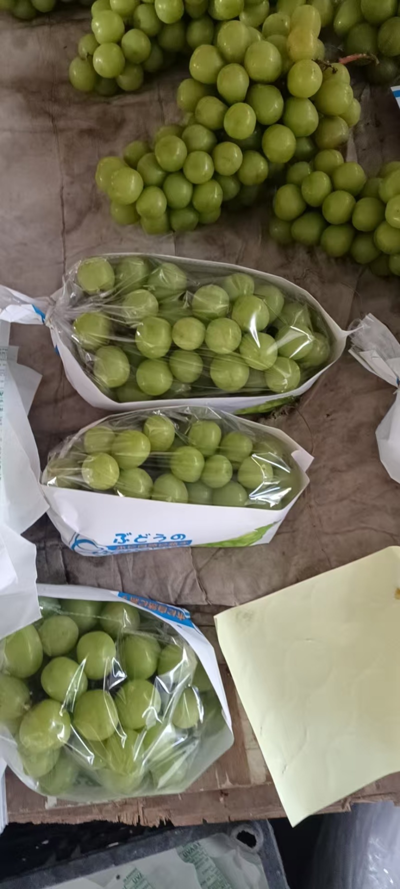 精品冷阳光玫瑰葡萄货源充足质量保证诚信经营欢迎咨询