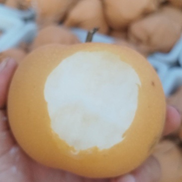 秋月梨，酥梨大量上市了。