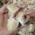 鸡腿快