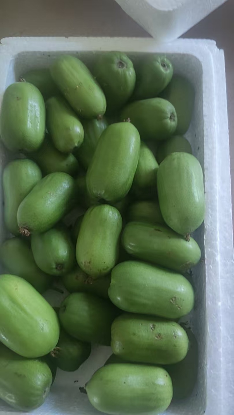 软枣猕猴桃，放心代办，各种规格，只做精品