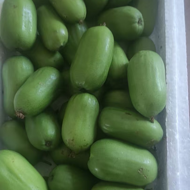 软枣猕猴桃，放心代办，各种规格，只做精品