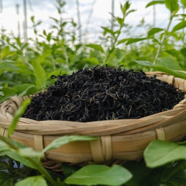 生态手工枸杞芽茶（炒青）