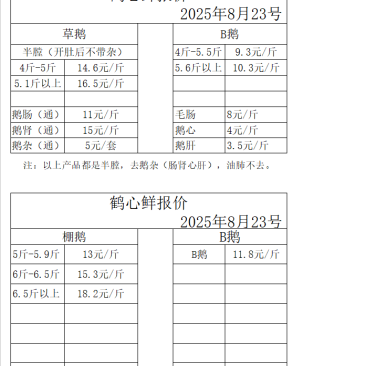 广东黑棕鹅，光鹅