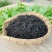 生态手工枸杞芽茶（炒青）