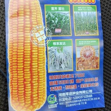 化肥种子