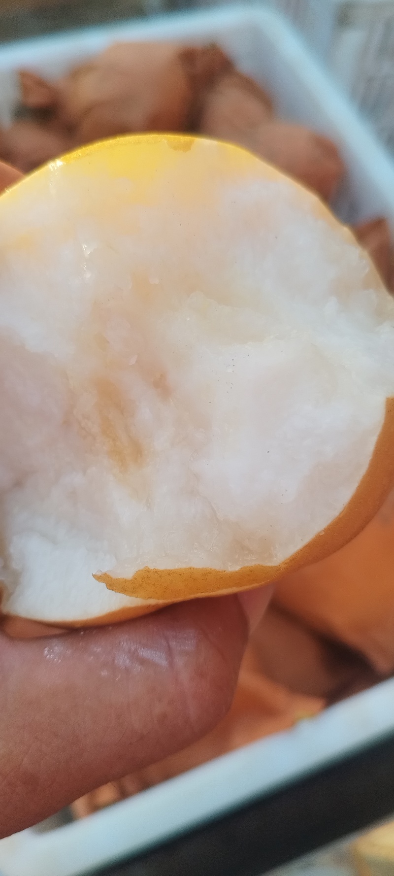 秋月梨大量上市了