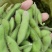 毛豆