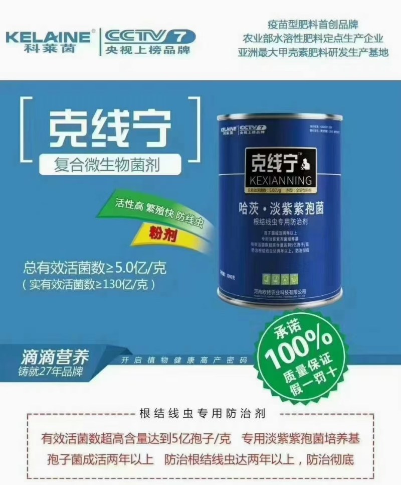 根结线虫产品哈茨木霉淡紫紫孢菌复配以菌抑菌