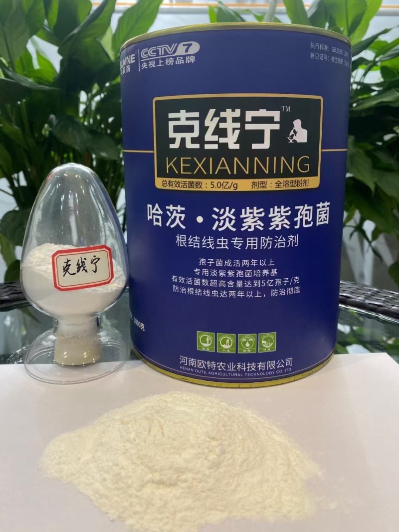 根结线虫产品哈茨木霉淡紫紫孢菌复配以菌抑菌