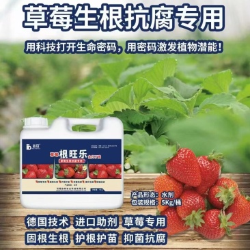 草莓生长期肥料生根养根提苗膨果转色5kg/桶