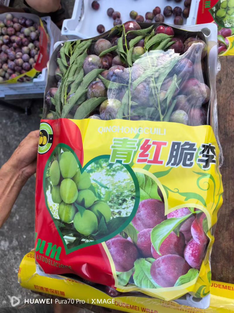 汉源小翠红李子。