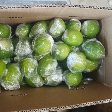 广东香水柠檬二级果