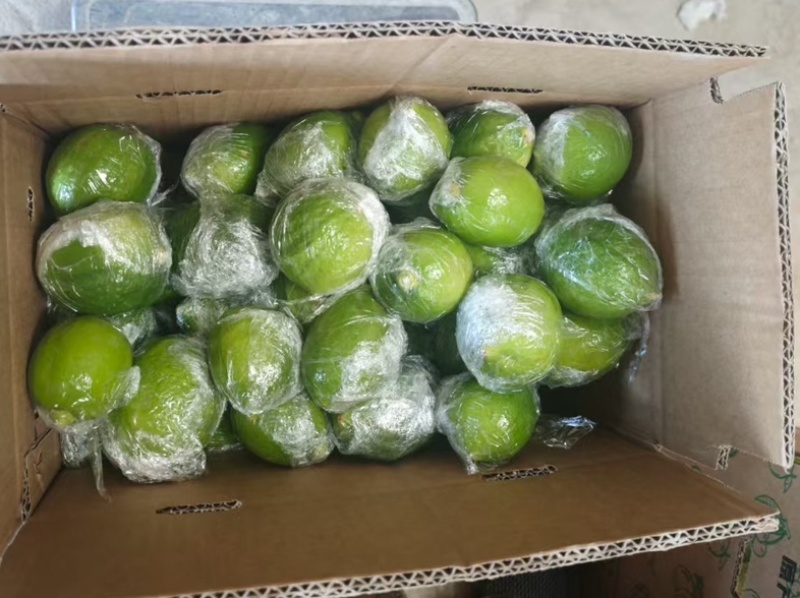 广东香水柠檬二级果