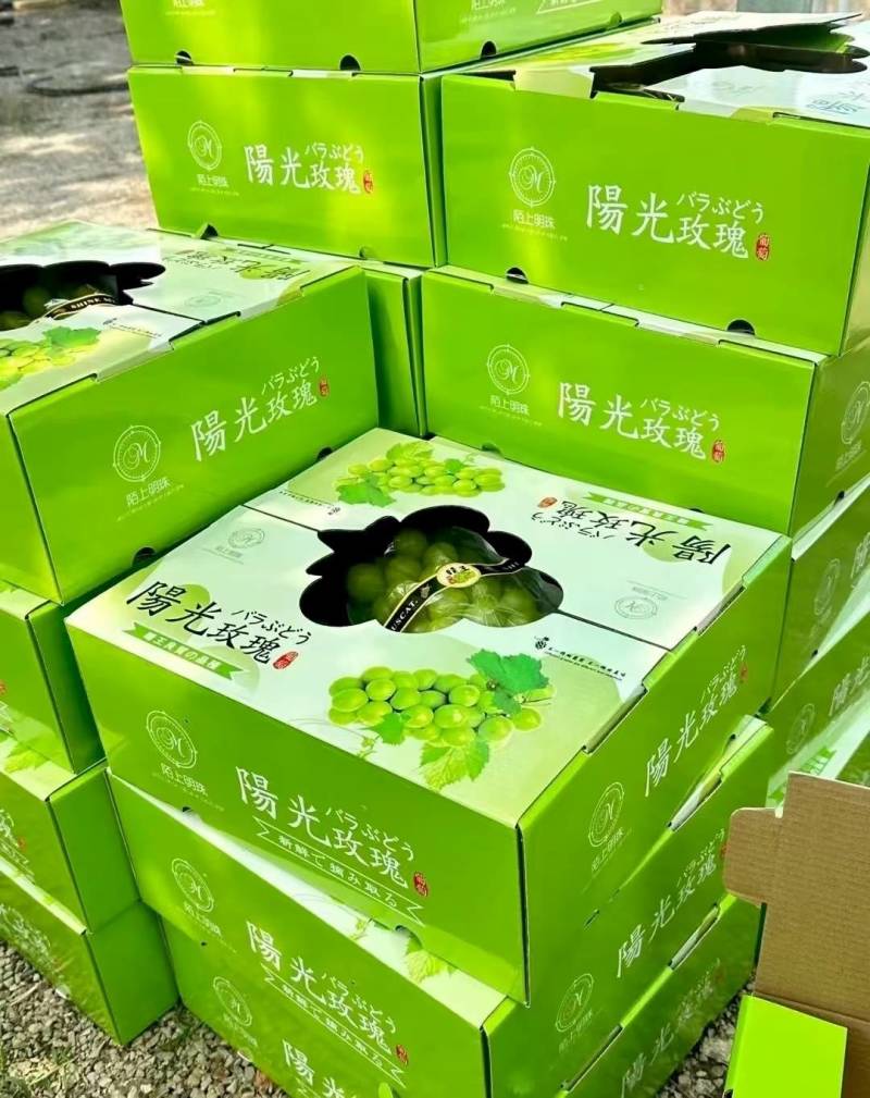 夏邑精品阳光玫瑰鲜货葡萄大量供量大从优欢迎联系