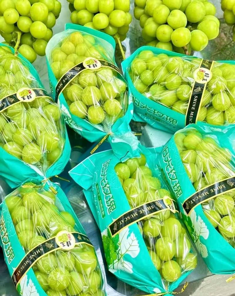 夏邑精品阳光玫瑰鲜货葡萄大量供量大从优欢迎联系