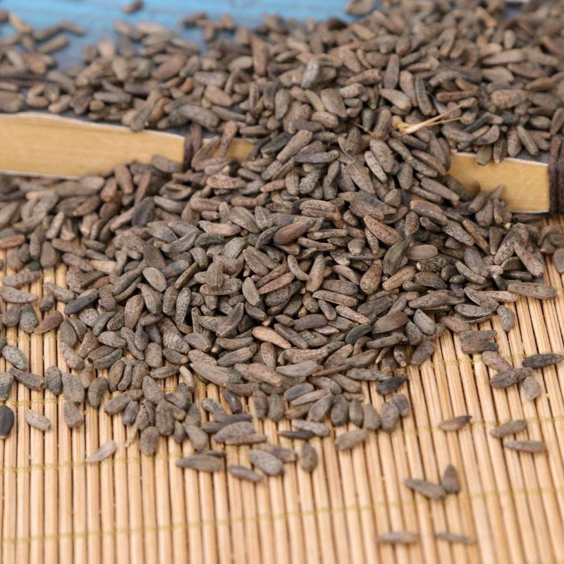 牛蒡子中药材非野生特级牛蒡子茶大力子牛子正品无硫牛旁子包