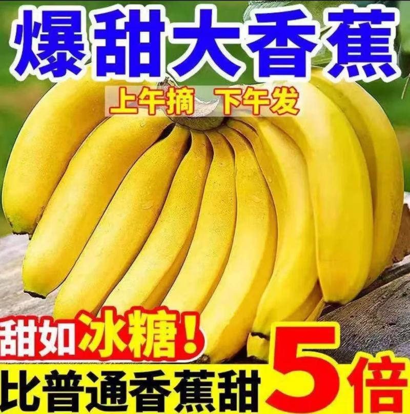 广西高山香蕉，万亩基地，整车走货，一件代发