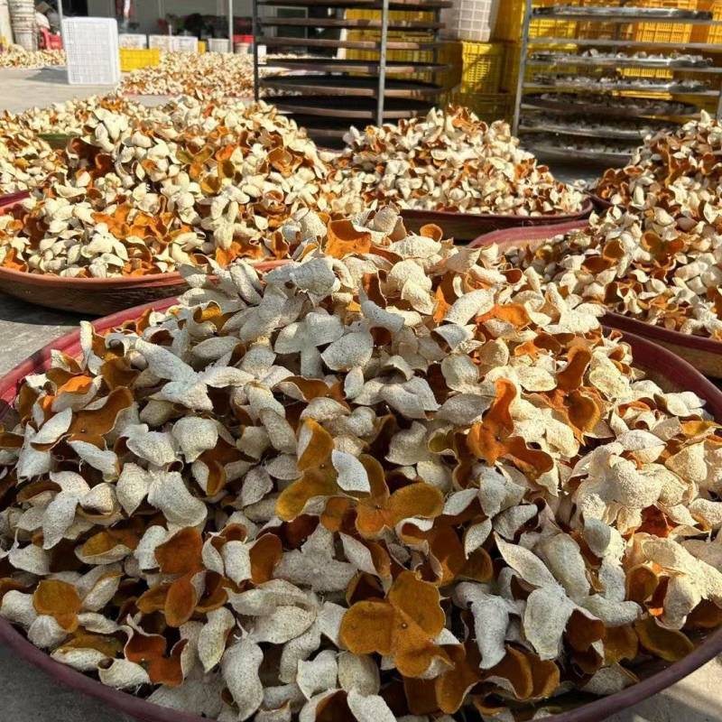 陈皮驳枝陈皮批发零售保质保量供货