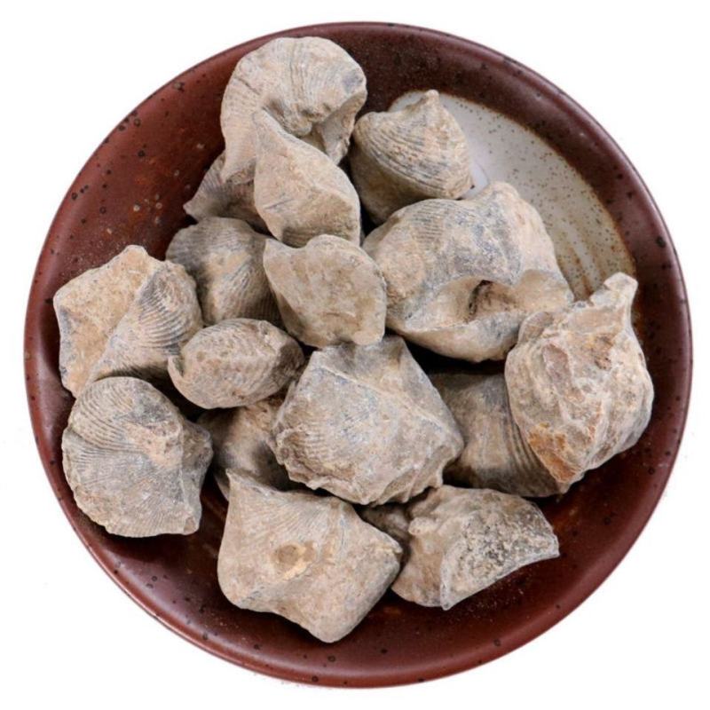中药材天然石燕大石燕子粉燕子石水飞石燕石燕
