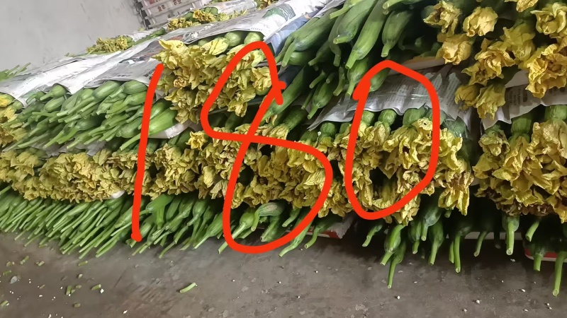 绵阳鲜花丝瓜