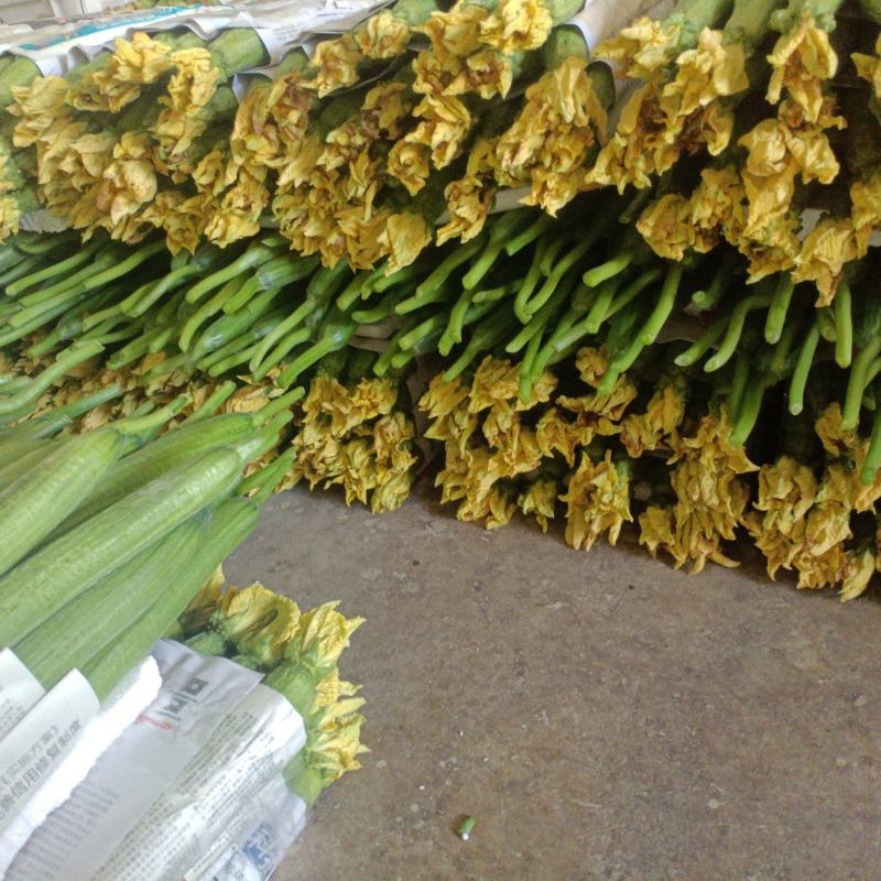 绵阳鲜花丝瓜