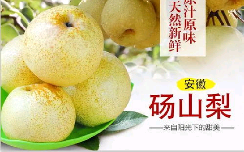 砀山酥梨