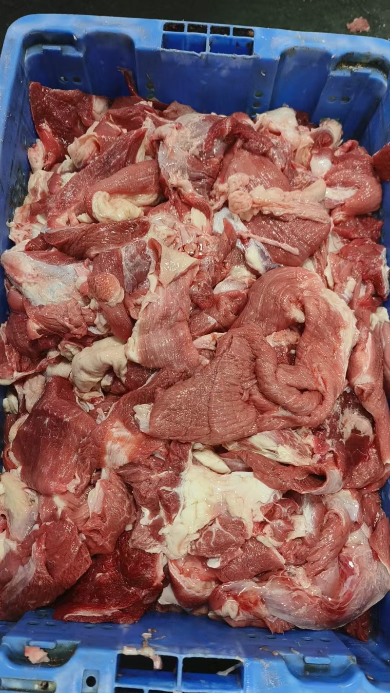 牛肉筋