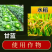 5%阿维菌素杀虫剂稻纵卷叶螟小菜蛾触杀胃毒