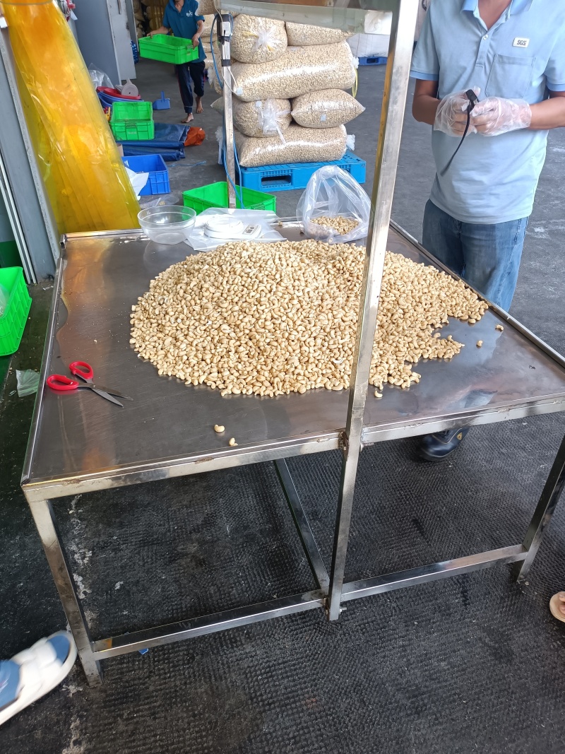 越南腰果一手供应盛开嘉品腰果全国发货